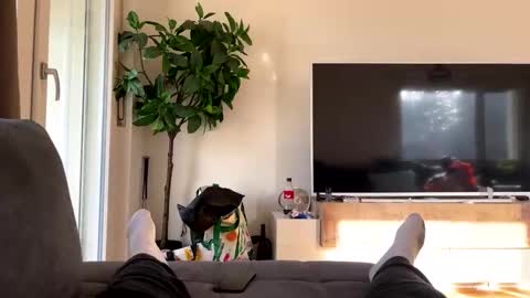 sincarro online show from 11.19.25