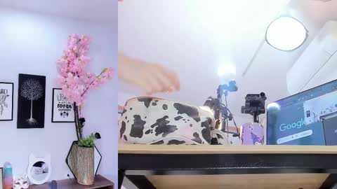 Siouxsie online show from 02.15.26