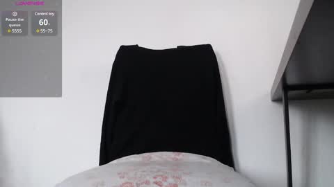 Snapshot of sir_stroke_a_lot_ chatting on 01.16.25 Sebastian online show from 01.16.25