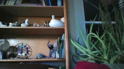 sirlicksaclit online show from 01.14.25