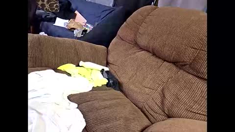 sissyboi124995 online show from 04.11.26