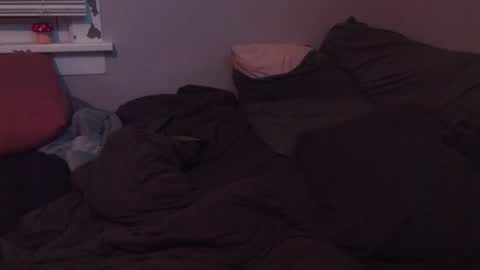 Snapshot of sissylivy chatting on 11.20.25 SisLIv online show from 11.20.25