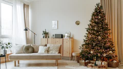 Snapshot of siswet19 chatting on 12.19.24 Elise online show from 12.19.24