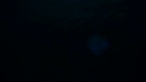 Skarlet online show from 10.08.25