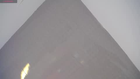 David online show from 02.22.26