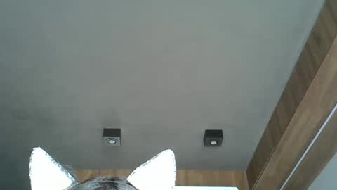 skinnykittencam online show from 10.07.25