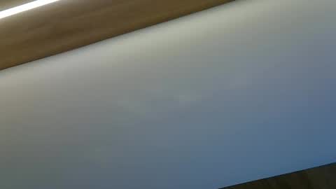 skinnykittencam online show from 10.29.25