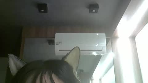 Snapshot of skinnykittencam chatting on 06.03.26 skinnykittencam online show from 06.03.26