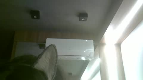 Snapshot of skinnykittencam chatting on 06.03.26 skinnykittencam online show from 06.03.26