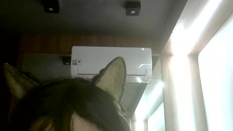 Snapshot of skinnykittencam chatting on 06.07.26 skinnykittencam online show from 06.07.26