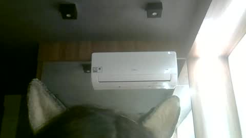 Snapshot of skinnykittencam chatting on 06.14.26 skinnykittencam online show from 06.14.26