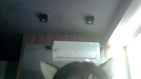 Snapshot of skinnykittencam chatting on 06.25.26 skinnykittencam online show from 06.25.26