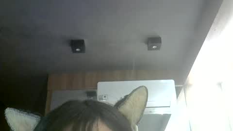 Snapshot of skinnykittencam chatting on 06.27.26 skinnykittencam online show from 06.27.26