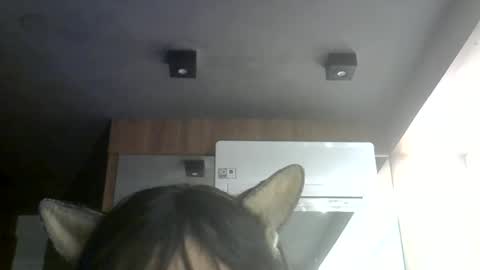 Snapshot of skinnykittencam chatting on 07.07.26 skinnykittencam online show from 07.07.26