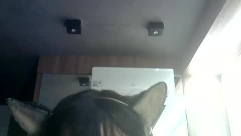Snapshot of skinnykittencam chatting on 07.09.26 skinnykittencam online show from 07.09.26