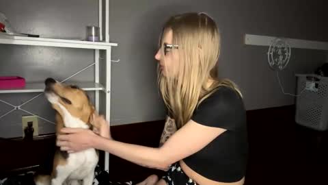 Sky  online show from 11.21.25