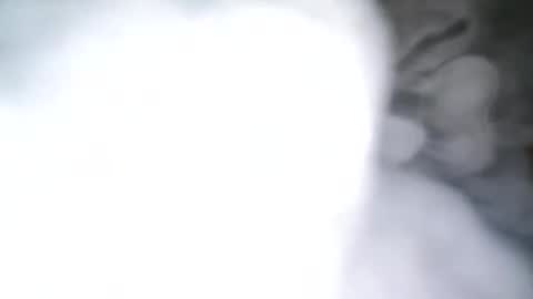 skyonetoo3 online show from 10.21.25