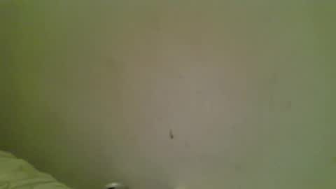 Bottmboitwink online show from 10.18.25