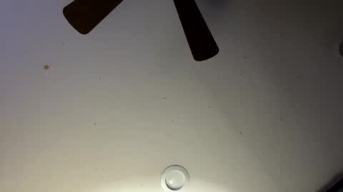 Slickdog online show from 01.30.25