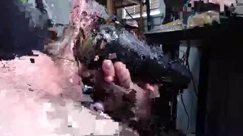 sliderguy699 online show from 12.15.24