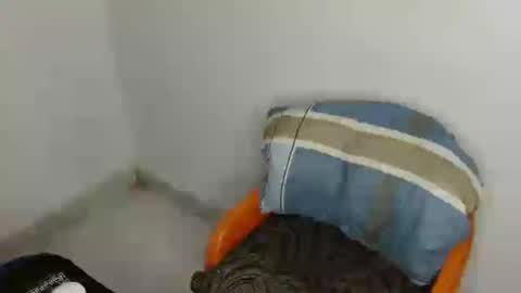 Bella online show from 07.19.26