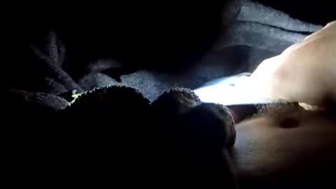 Snapshot of slimbigd69420 chatting on 11.17.25 slimbigd69420 online show from 11.17.25