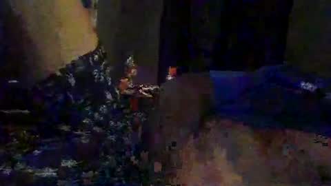 Snapshot of slimeguy315 chatting on 09.20.25 slimeguy315 online show from 09.20.25