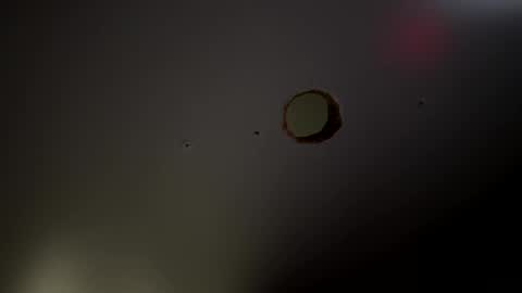 slurpmynut online show from 02.12.25