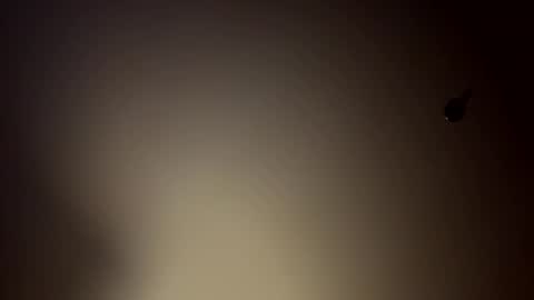 Fun time online show from 03.19.26