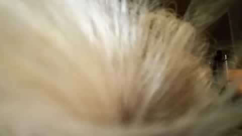 Fun time online show from 04.04.26