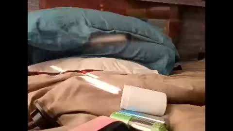 Snapshot of sluttyslut123797367 chatting on 03.30.26 Nastyguurl online show from 03.30.26