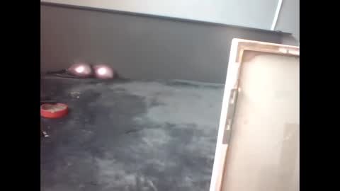 slutviki online show from 02.15.26