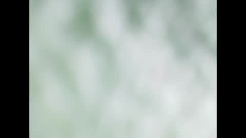 Snapshot of small_wood21 chatting on 12.22.25 small wood21 online show from 12.22.25