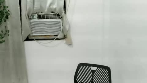 Julia online show from 11.25.25