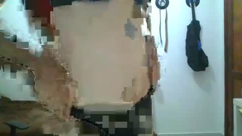 willy online show from 09.12.25