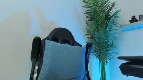 Snapshot of smitgrey chatting on 12.07.24 SMIT online show from 12.07.24