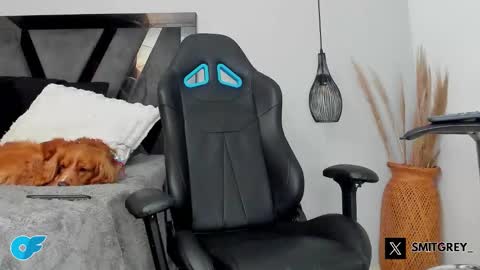 SMIT  online show from 03.02.26