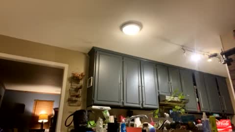 smokeymt420 online show from 02.09.25