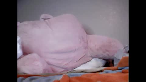 SmolHungGothWitch online show from 02.04.25