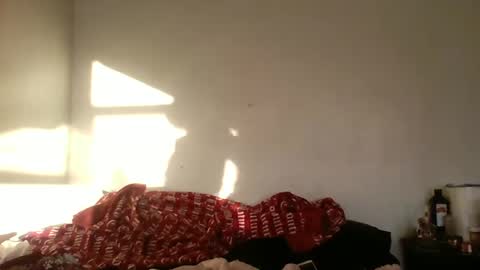 Bambi--Vodka online show from 12.22.24