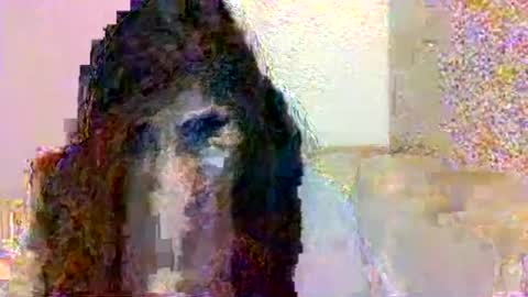 Snapshot of smurdle11 chatting on 10.25.25 smurdle online show from 10.25.25