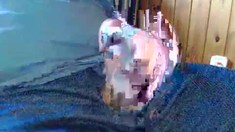 sn0man69 online show from 12.13.24