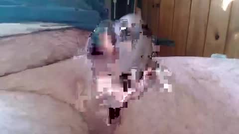 sn0man69 online show from 01.06.25