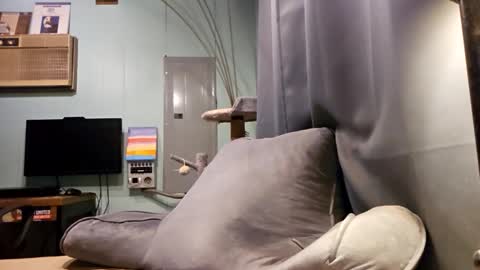 Snackyyyy online show from 02.06.26