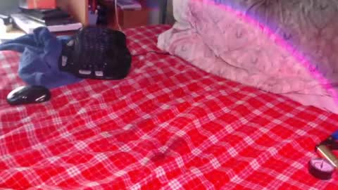 Snail online show from 02.17.26