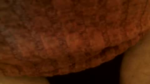 Snapshot of snakepit31 chatting on 03.02.25 Sissy Boy online show from 03.02.25