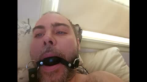 snarkymarks online show from 12.17.25