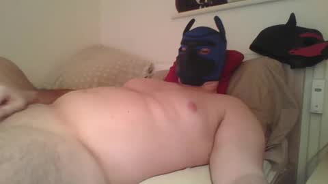 SoftPuppy online show from 01.12.26