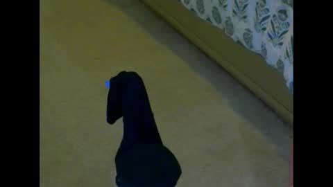 Snapshot of snizniz chatting on 12.02.24 snizniz online show from 12.02.24