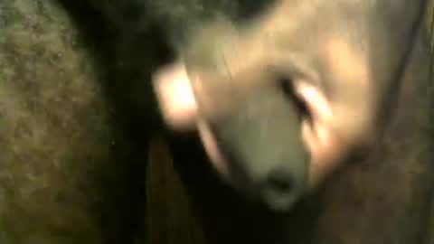 Snapshot of snkr1244 chatting on 12.28.24 snkr1244 online show from 12.28.24